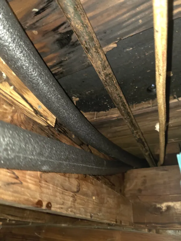Insulated water lines run beneath floor joists in a crawl space